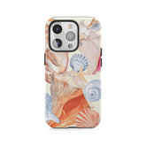 Dérive de coquillages peints