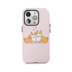 Couple de Corgi mignons