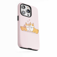 Couple de Corgi mignons