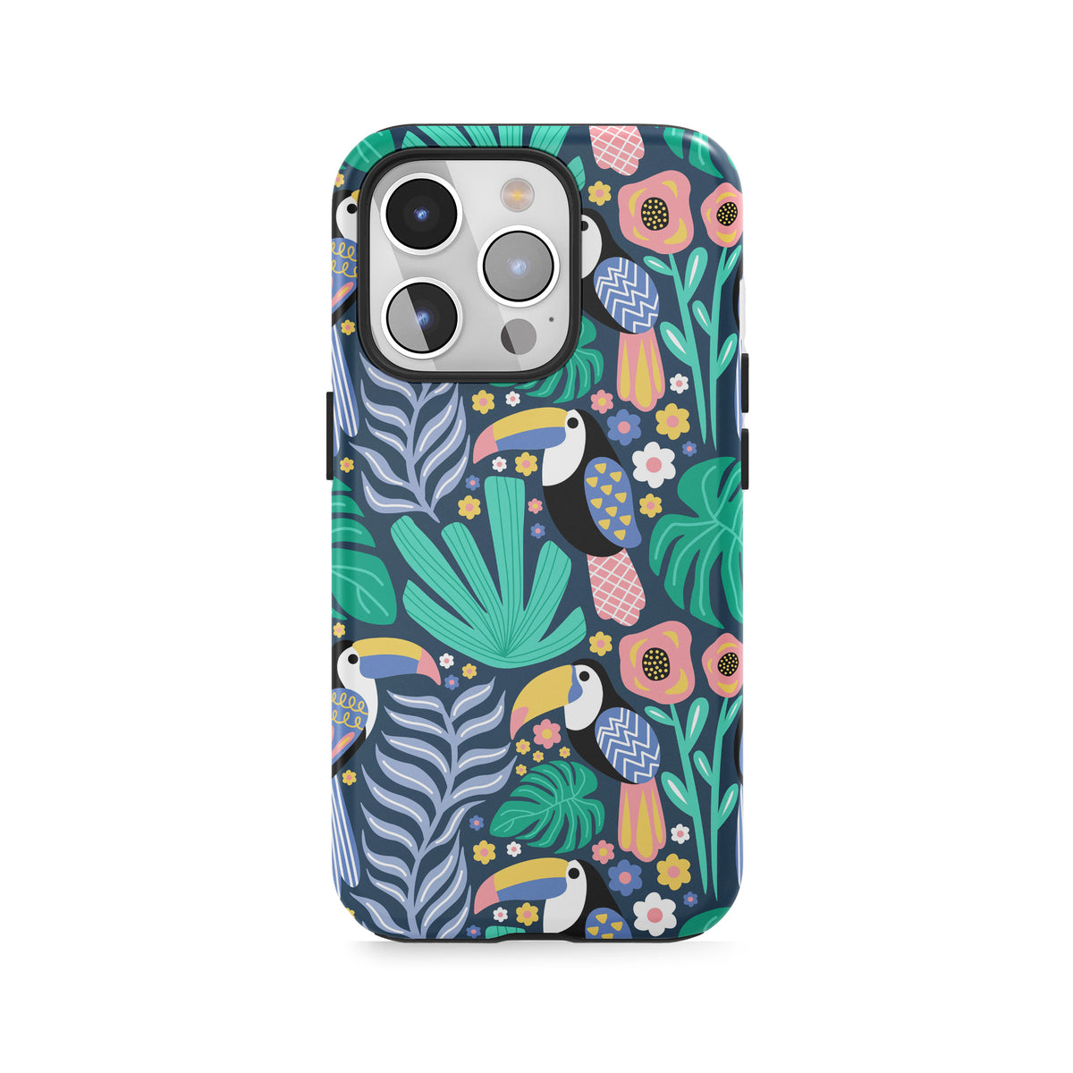 Paradis des toucans