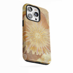 Rayonnement solaire